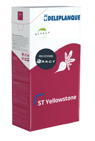 Design sans titre (46)