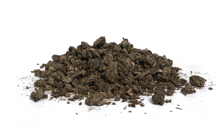 Visuel variété Compost 1,8 – 2,2 – 1,6