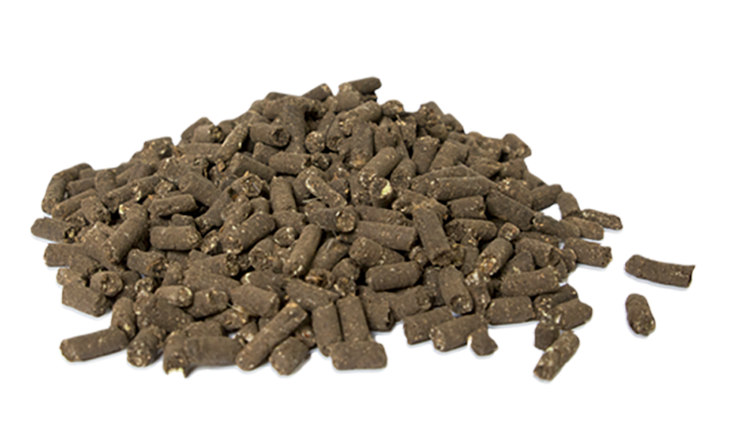 Visuel variété Pellet 4 – 3 – 3