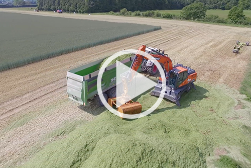 Seigle hybride SU NASRI – récolte pour ensilage