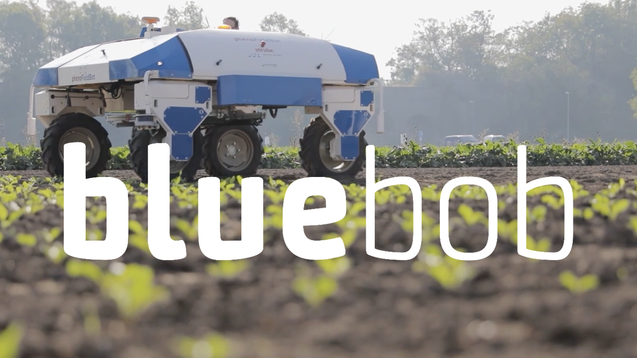 BlueBob – la vidéo