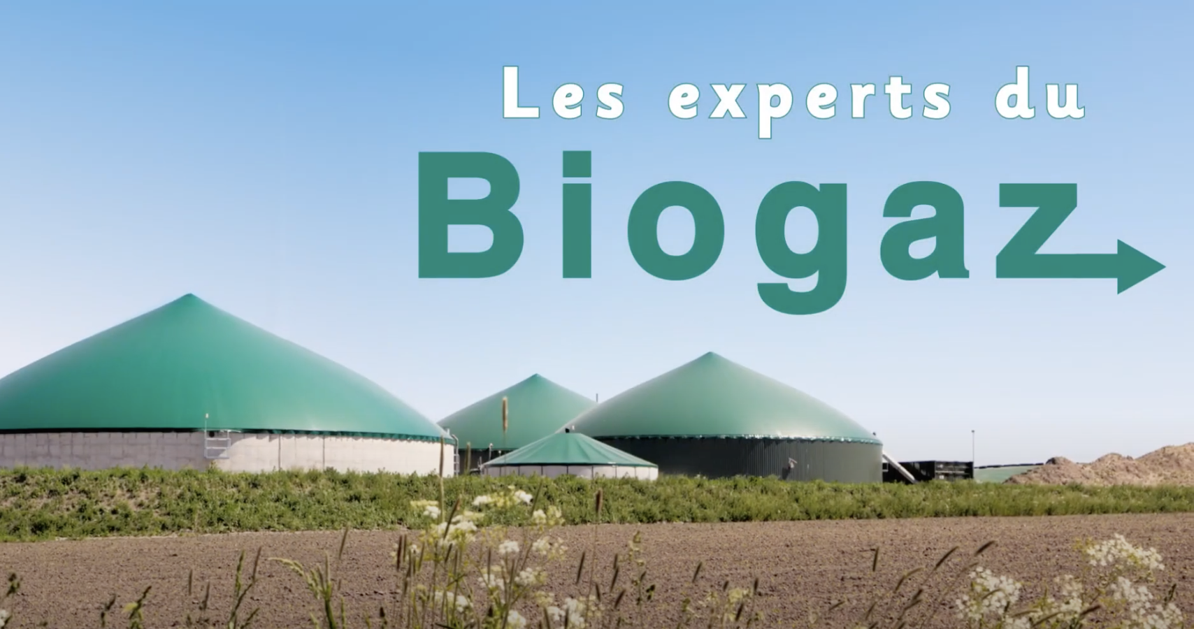 Les experts du biogaz : Seigle hybride & méthanisation