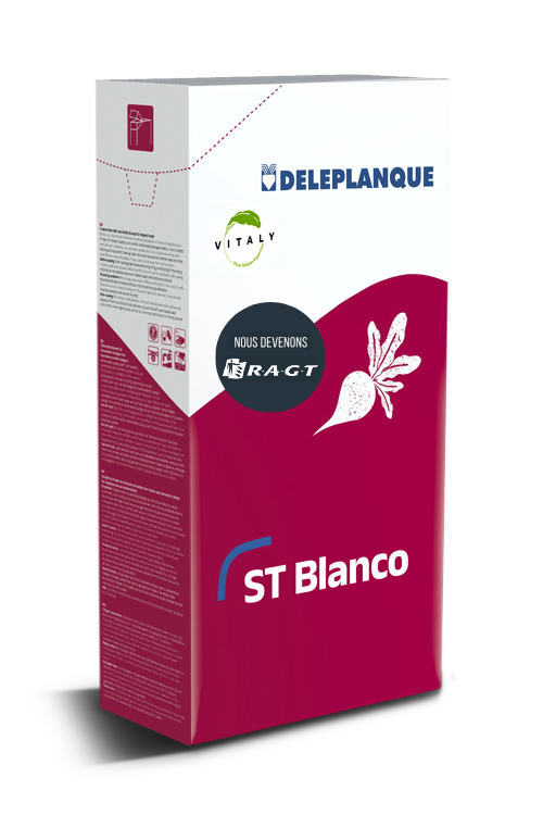 Visuel variété ST Blanco